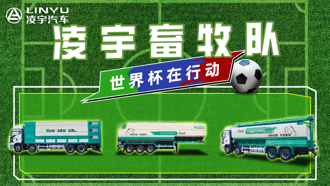 奪冠世界杯！你注意到這支球隊了嗎？